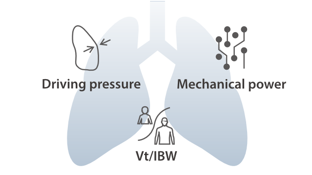 LETOU国际米兰·(中国区)官方网站