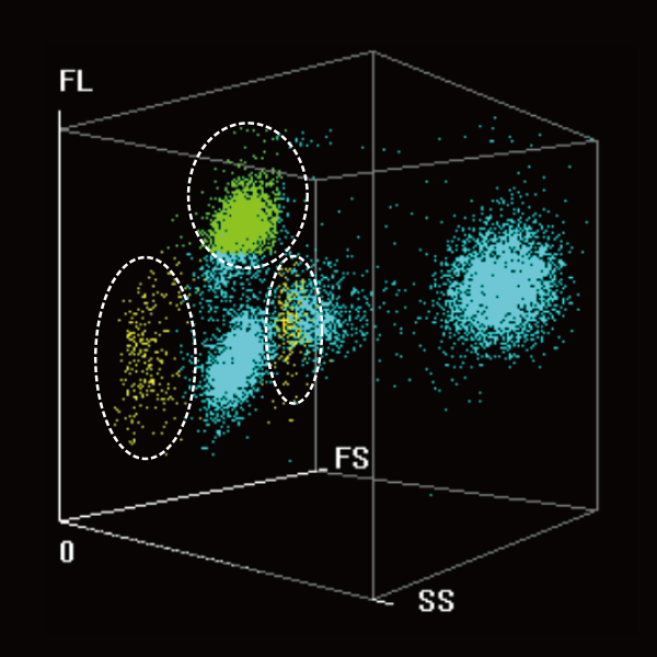 LETOU国际米兰·(中国区)官方网站