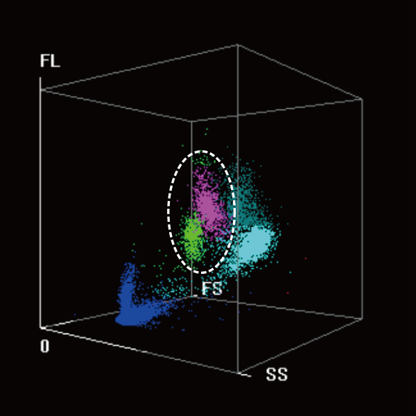 BC-7600 Series Auto Hematology Analyzers - DIFF 3D scattergram