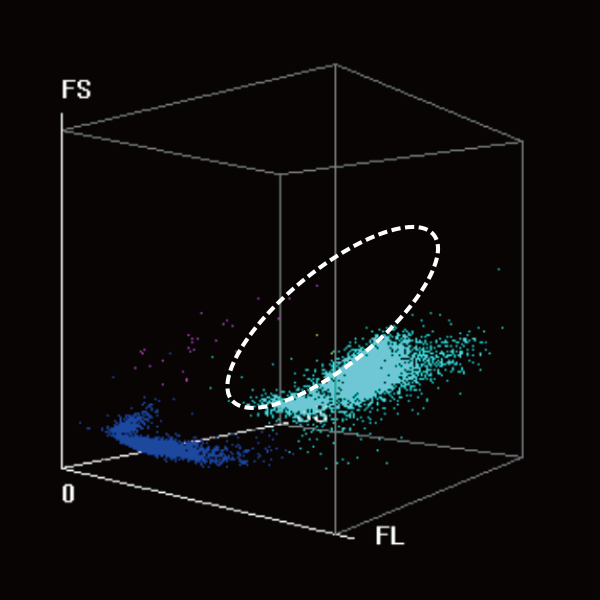 BC-7600 Series Auto Hematology Analyzers - WNB 3D scattergram