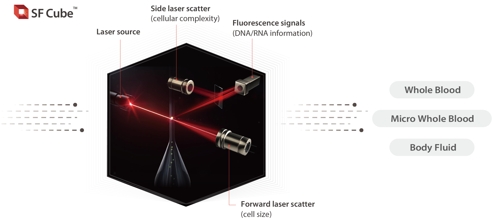 SF Cube technology explanation
