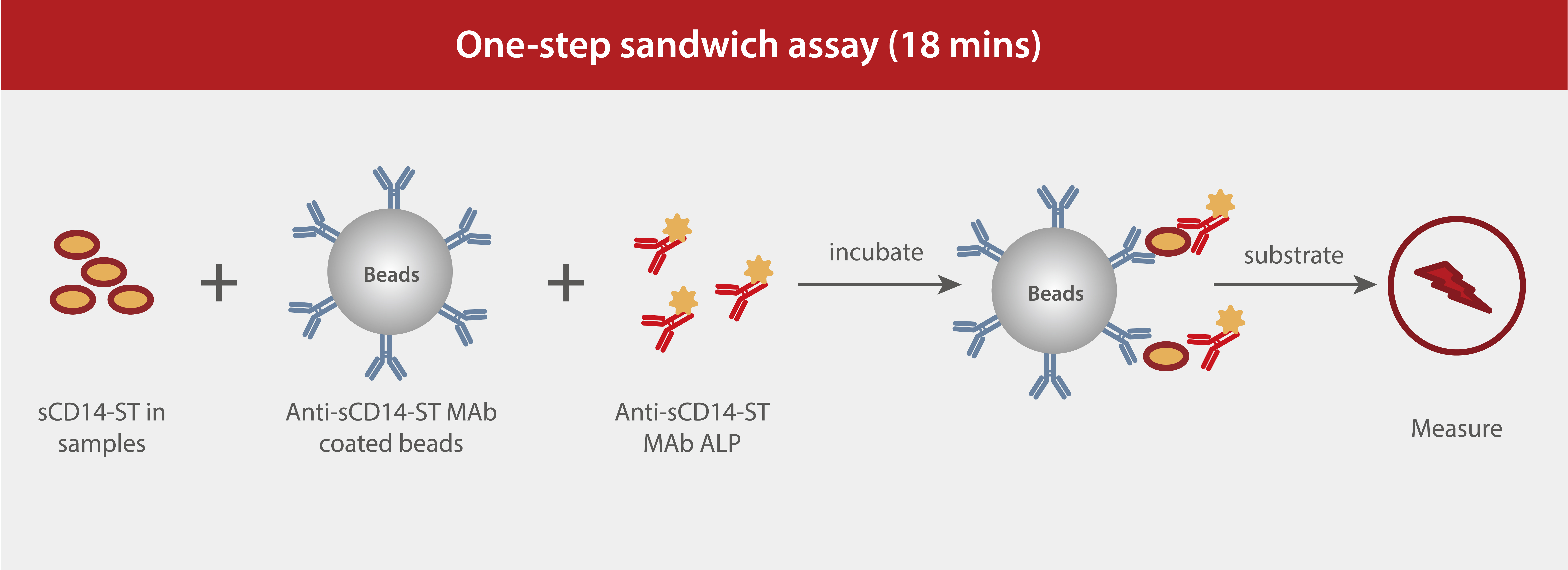 LETOU国际米兰·(中国区)官方网站