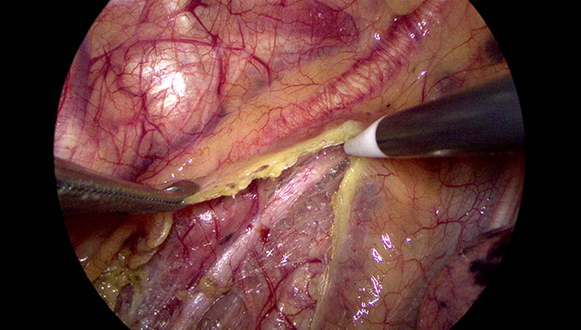 LETOU国际米兰·(中国区)官方网站