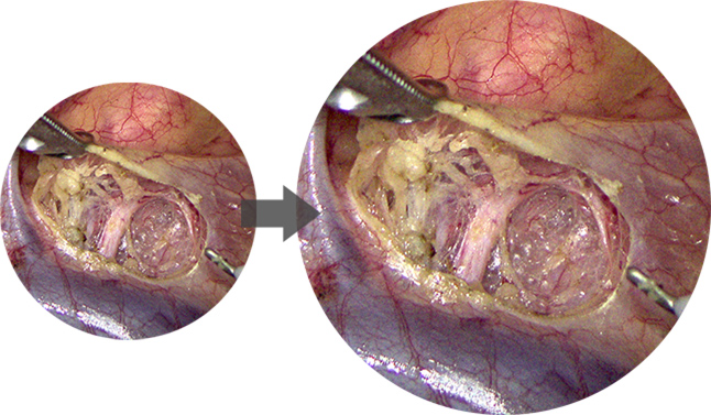 LETOU国际米兰·(中国区)官方网站