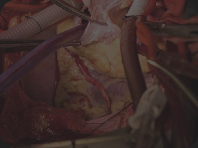 LETOU国际米兰·(中国区)官方网站