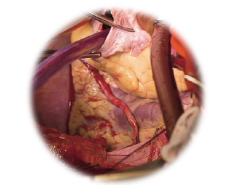 LETOU国际米兰·(中国区)官方网站