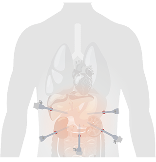 LETOU国际米兰·(中国区)官方网站