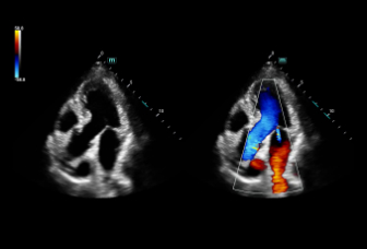 LETOU国际米兰·(中国区)官方网站