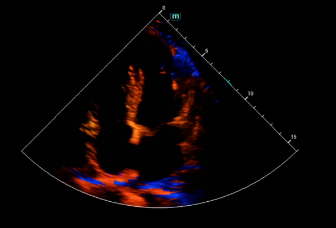 LETOU国际米兰·(中国区)官方网站