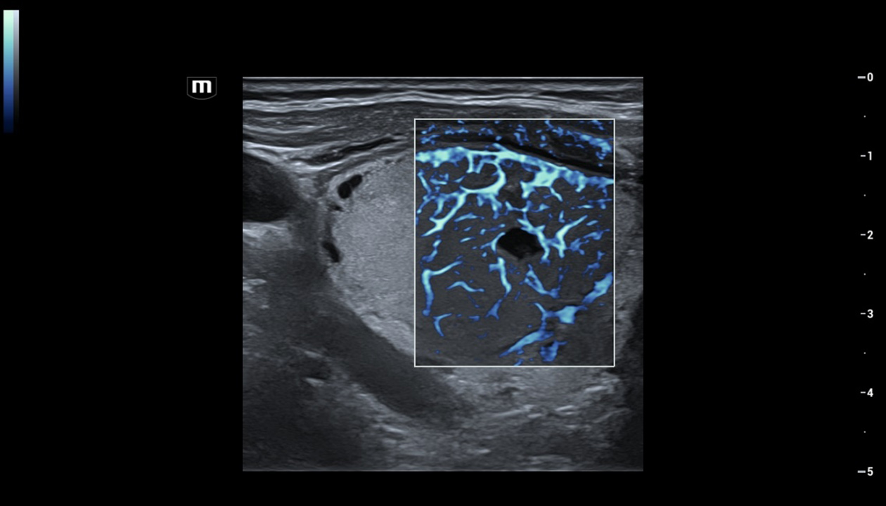 LETOU国际米兰·(中国区)官方网站