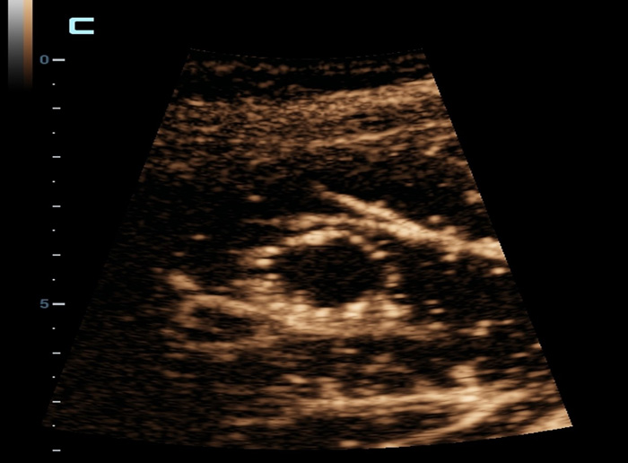 LETOU国际米兰·(中国区)官方网站
