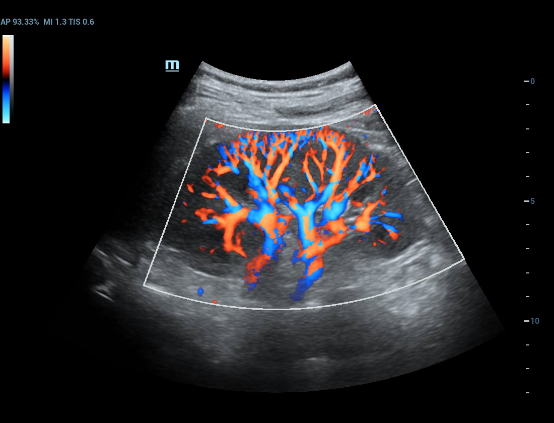 LETOU国际米兰·(中国区)官方网站