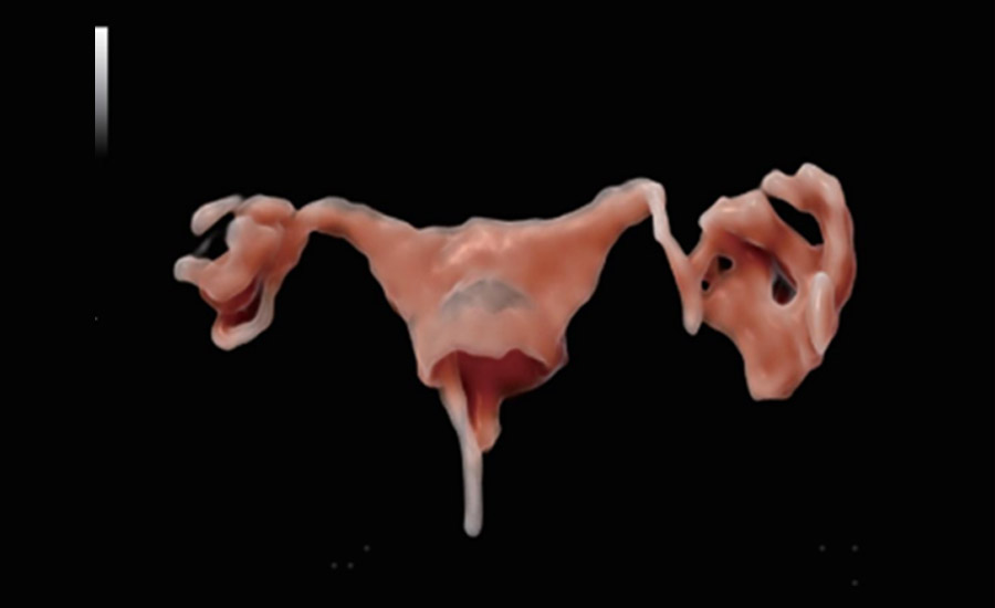 LETOU国际米兰·(中国区)官方网站