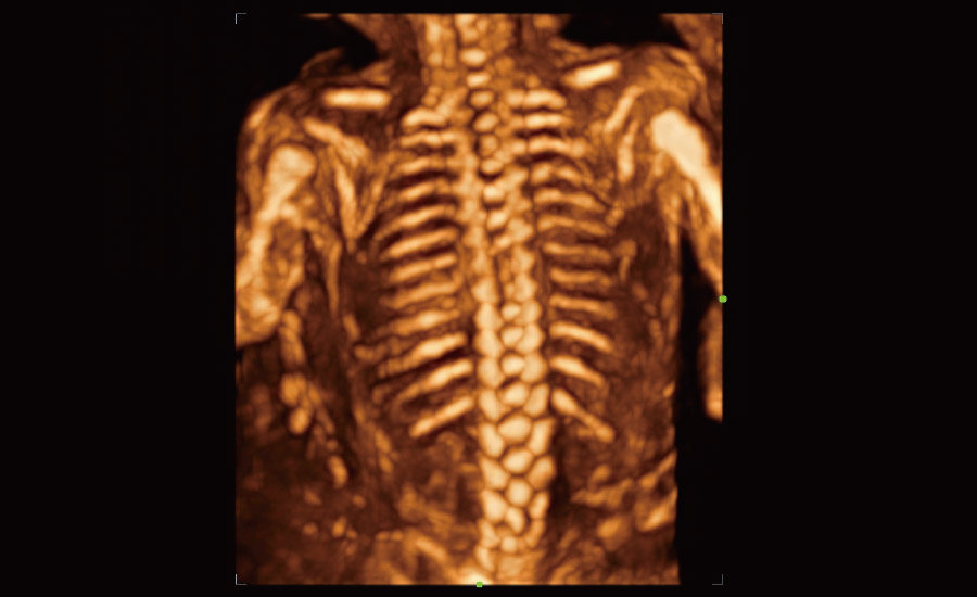 LETOU国际米兰·(中国区)官方网站