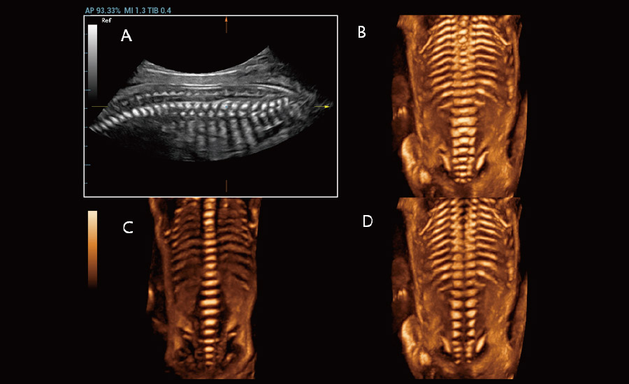 LETOU国际米兰·(中国区)官方网站