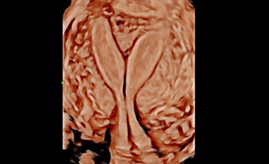 LETOU国际米兰·(中国区)官方网站