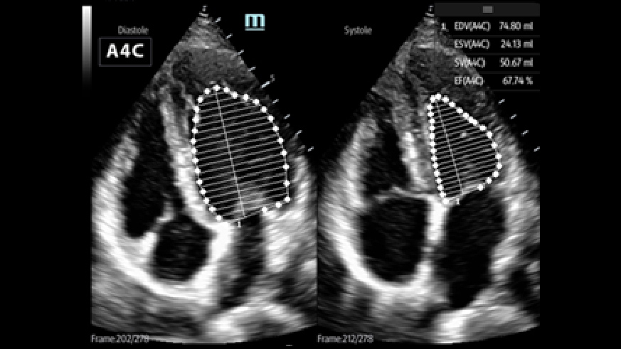 LETOU国际米兰·(中国区)官方网站