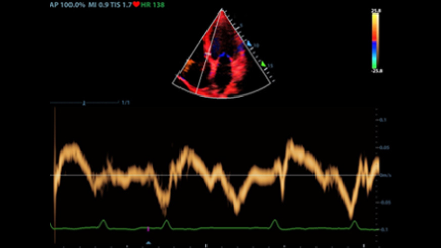 LETOU国际米兰·(中国区)官方网站