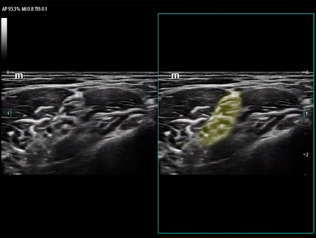 LETOU国际米兰·(中国区)官方网站