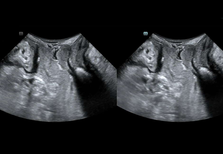 LETOU国际米兰·(中国区)官方网站