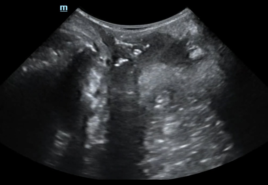 LETOU国际米兰·(中国区)官方网站