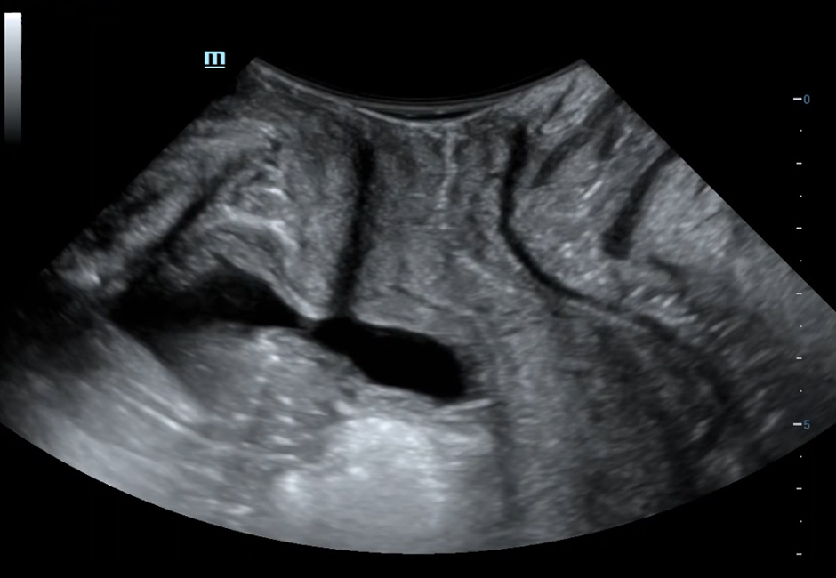 LETOU国际米兰·(中国区)官方网站