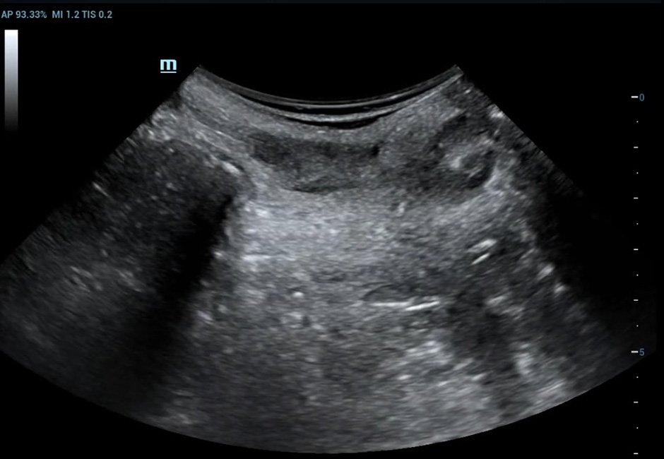 LETOU国际米兰·(中国区)官方网站