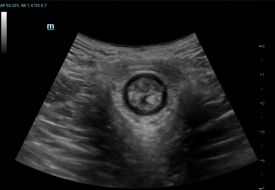 LETOU国际米兰·(中国区)官方网站