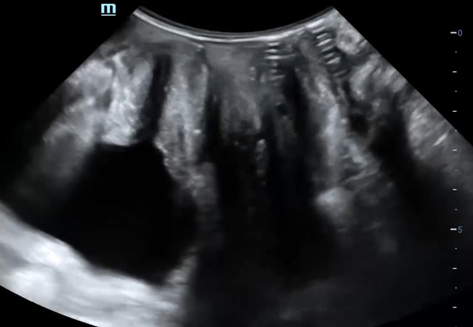 LETOU国际米兰·(中国区)官方网站