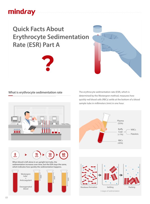 LETOU国际米兰·(中国区)官方网站