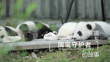 LETOU国际米兰·(中国区)官方网站