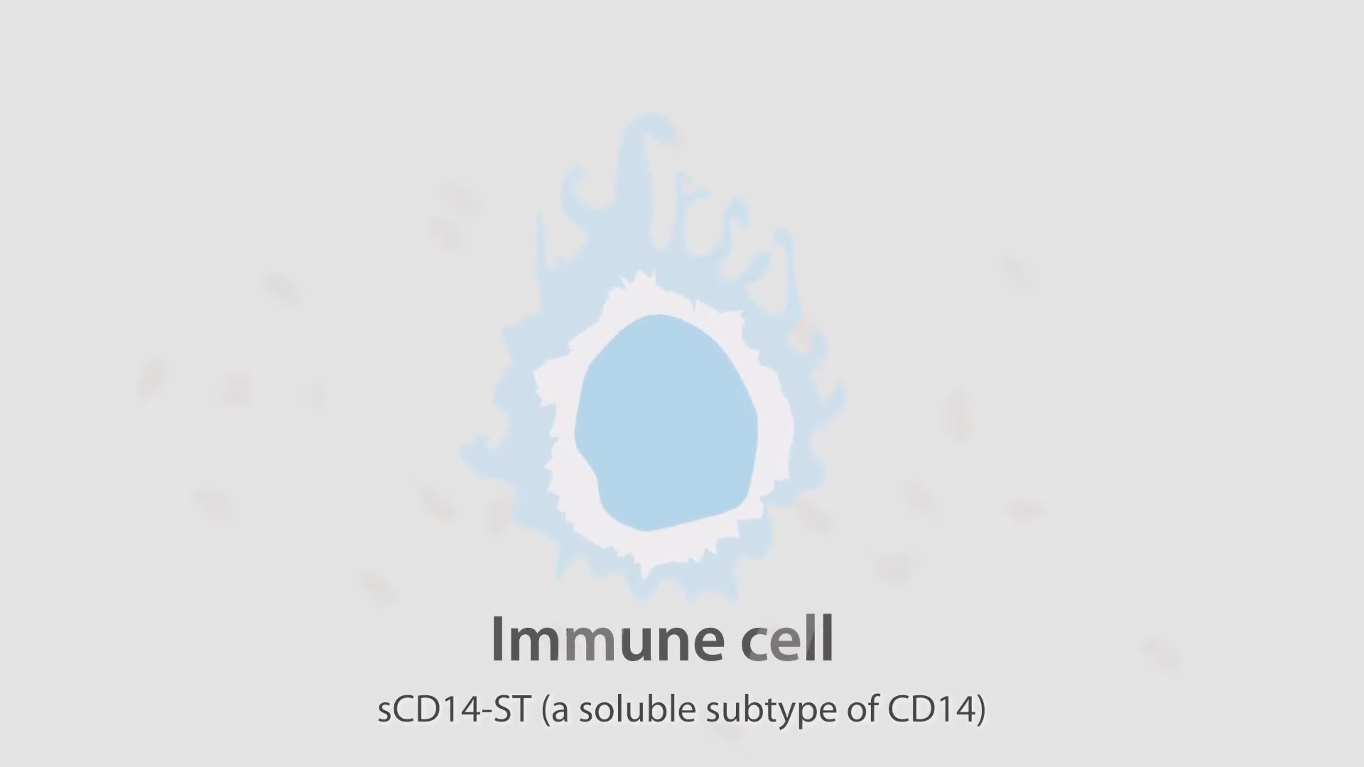 LETOU国际米兰·(中国区)官方网站