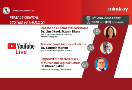 LETOU国际米兰·(中国区)官方网站