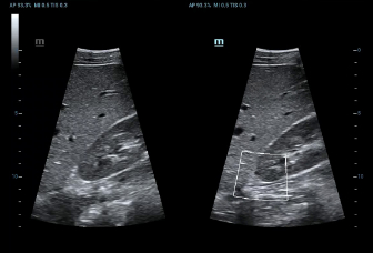LETOU国际米兰·(中国区)官方网站