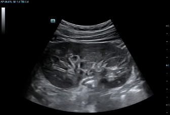 LETOU国际米兰·(中国区)官方网站