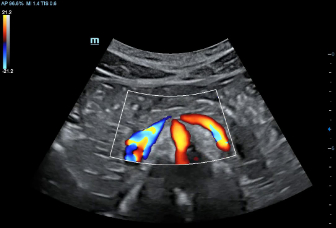 LETOU国际米兰·(中国区)官方网站