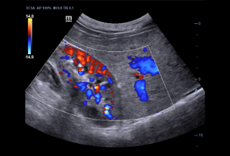 LETOU国际米兰·(中国区)官方网站