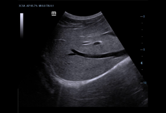 LETOU国际米兰·(中国区)官方网站