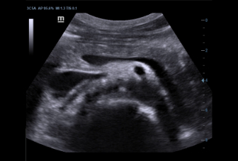 LETOU国际米兰·(中国区)官方网站