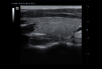 LETOU国际米兰·(中国区)官方网站