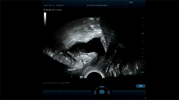 LETOU国际米兰·(中国区)官方网站