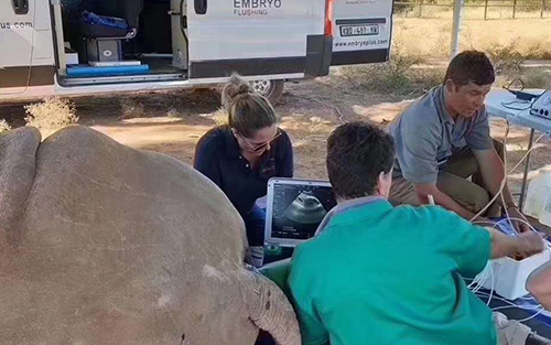 LETOU国际米兰·(中国区)官方网站