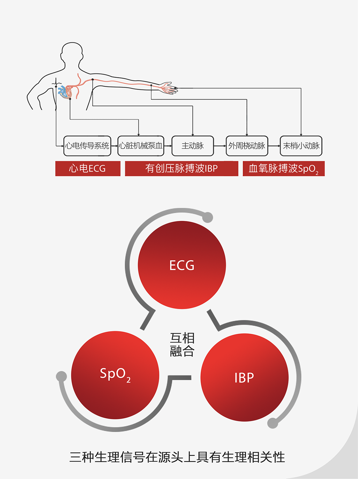 LETOU国际米兰·(中国区)官方网站
