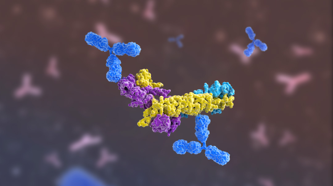 LETOU国际米兰·(中国区)官方网站