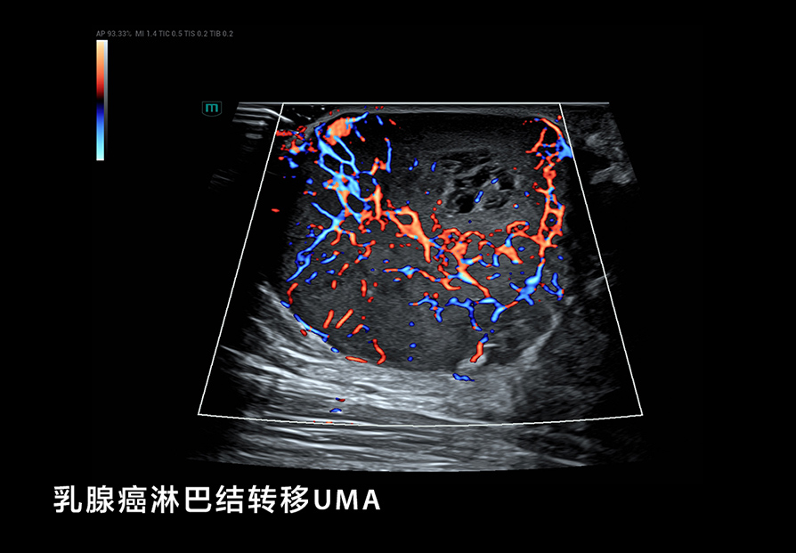 LETOU国际米兰·(中国区)官方网站