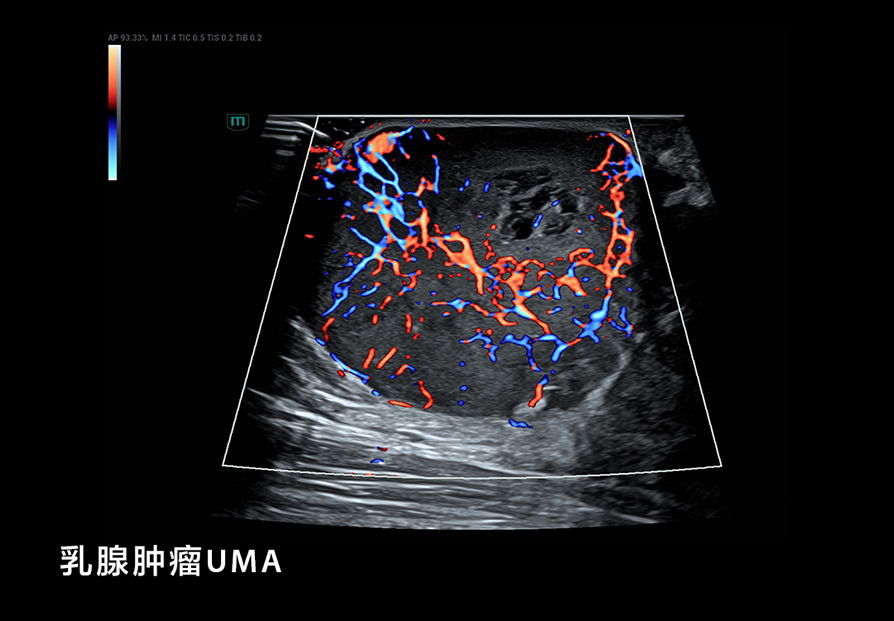 LETOU国际米兰·(中国区)官方网站