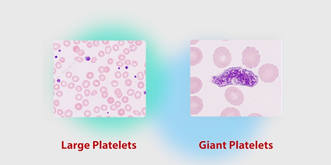 LETOU国际米兰·(中国区)官方网站