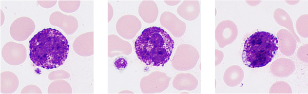 LETOU国际米兰·(中国区)官方网站