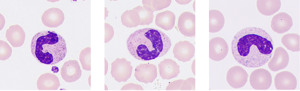 LETOU国际米兰·(中国区)官方网站