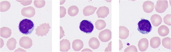 LETOU国际米兰·(中国区)官方网站